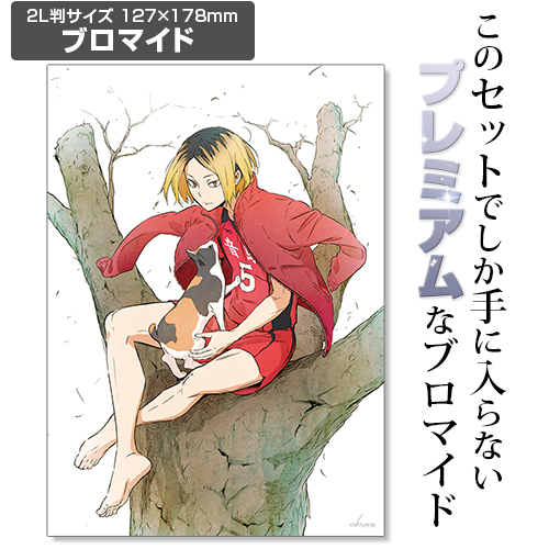 ☆限定☆【ブロマイドつき】孤爪研磨 100cmタペストリー [ハイキュー