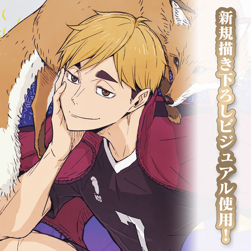 描き下ろし 宮 侑 B2タペストリー 飛翔Ver. [ハイキュー