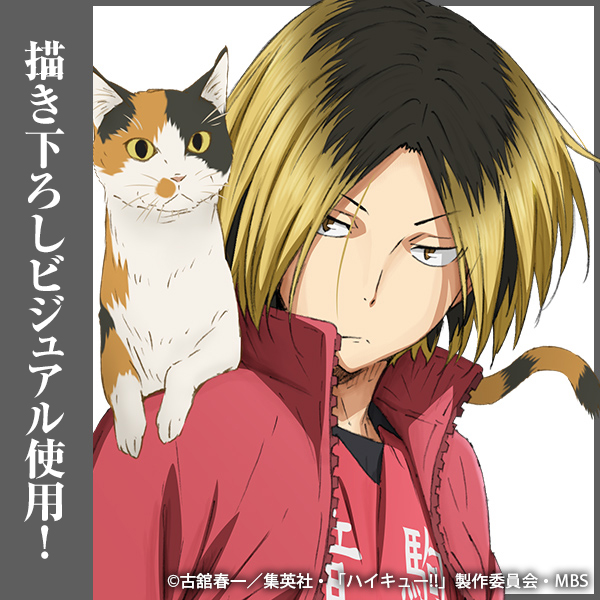 孤爪研磨 缶バッジ Ver.1.0 [ハイキュー!!] | 公式キャラクターグッズ