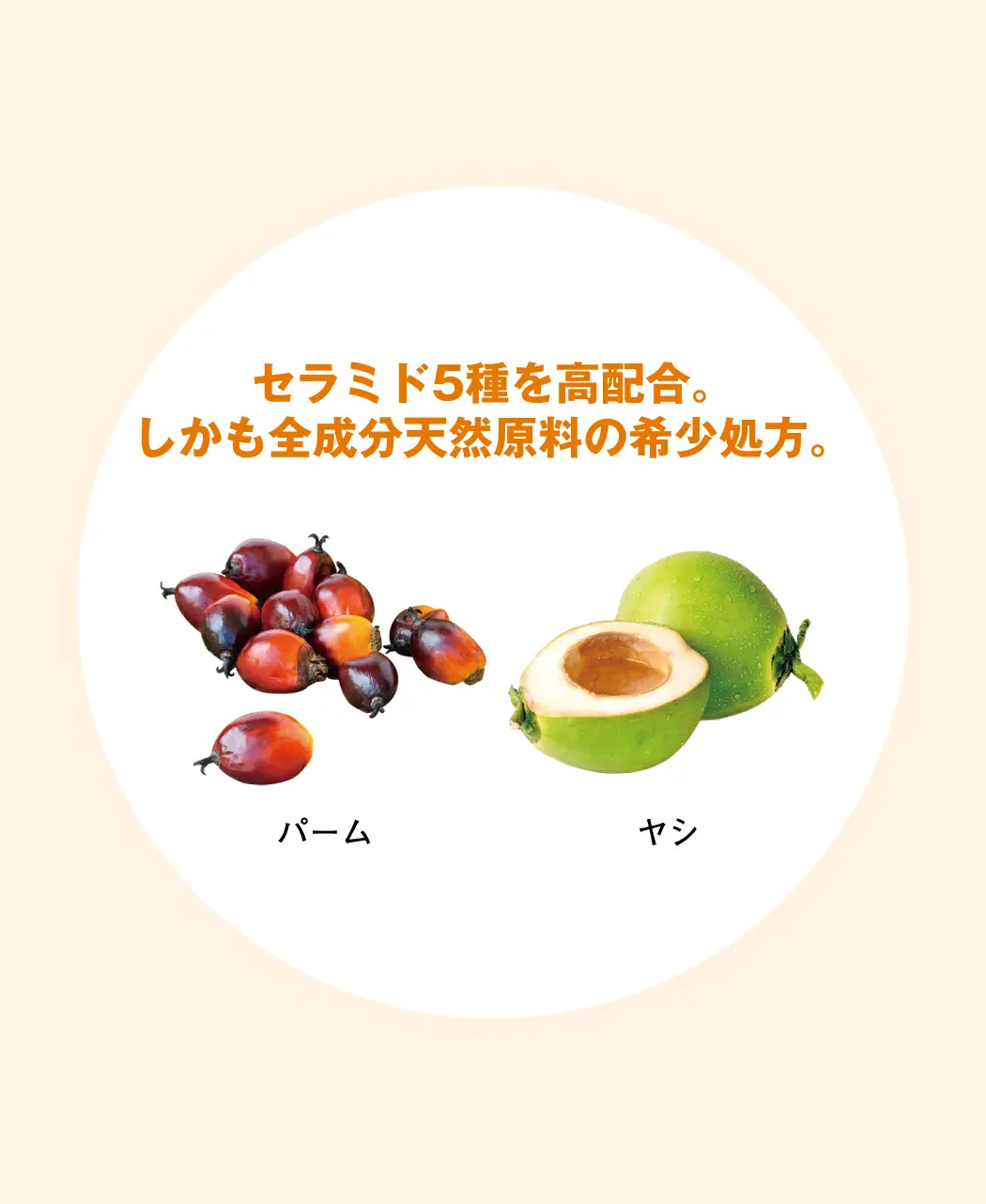 通販生活®肌型セラミド保湿ローション『潤みど水』｜【公式】カタログ