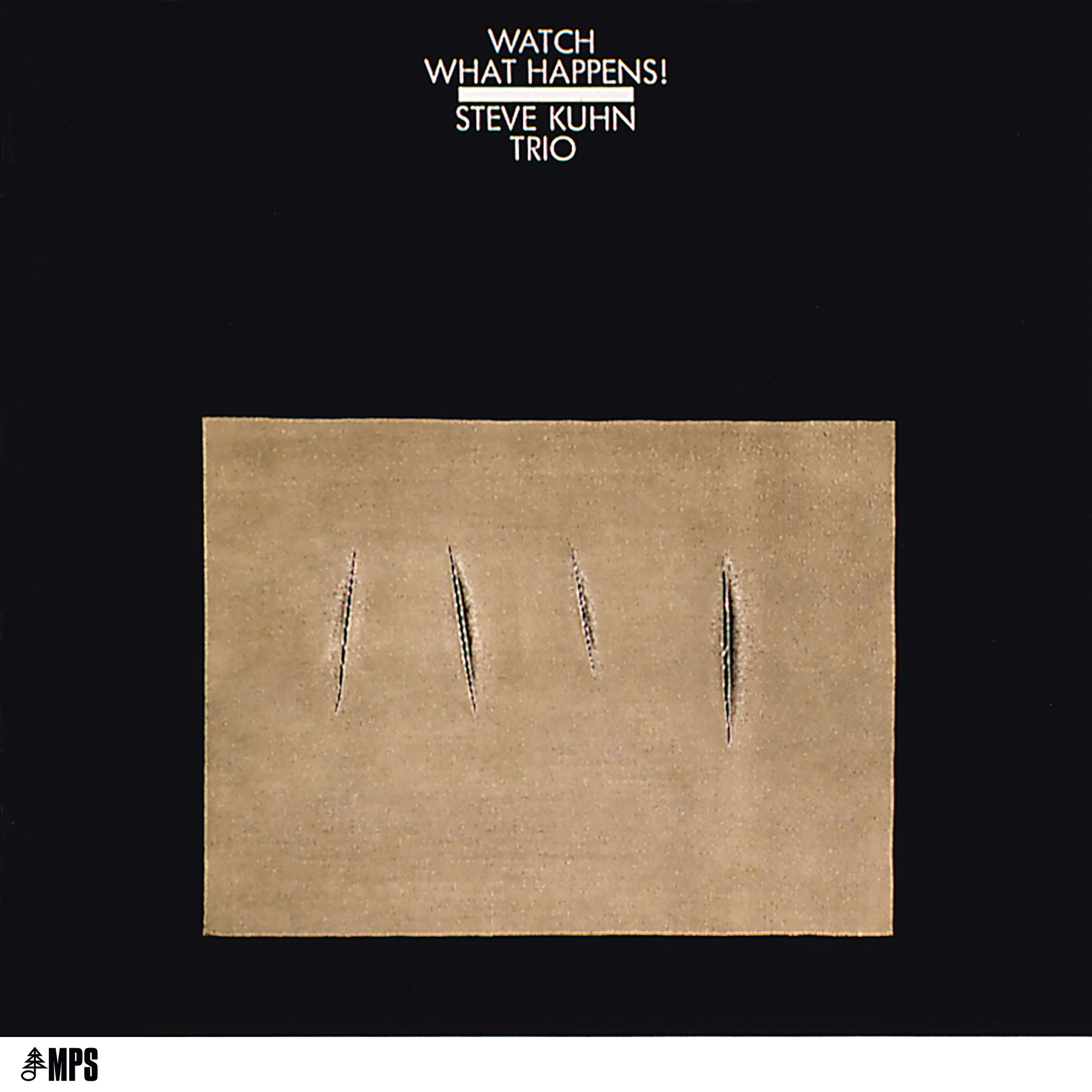国内盤CD STEVE KUHN TRIO スティーヴ・キューン / WATCH WHAT HAPPENS