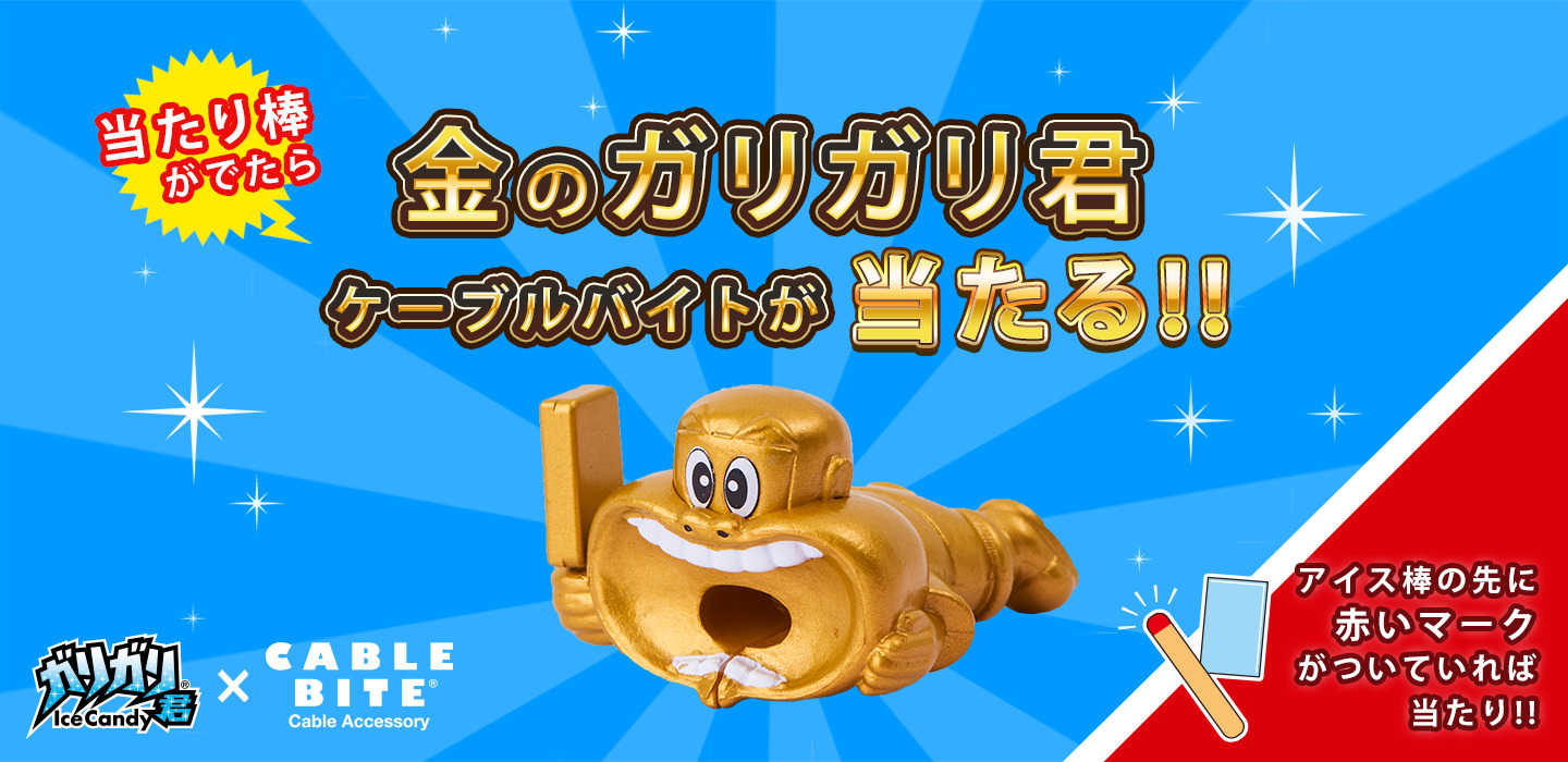 公式】ケーブル バイト CABLE BITE