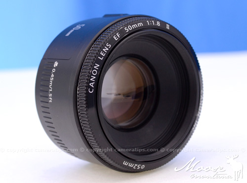 Canon 50mm f/1.8 II EF Lens Recommendation