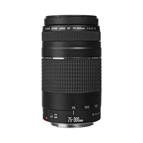 Canon EF 75-300mm f/4-5.6 III Lens - The Camera Exchange