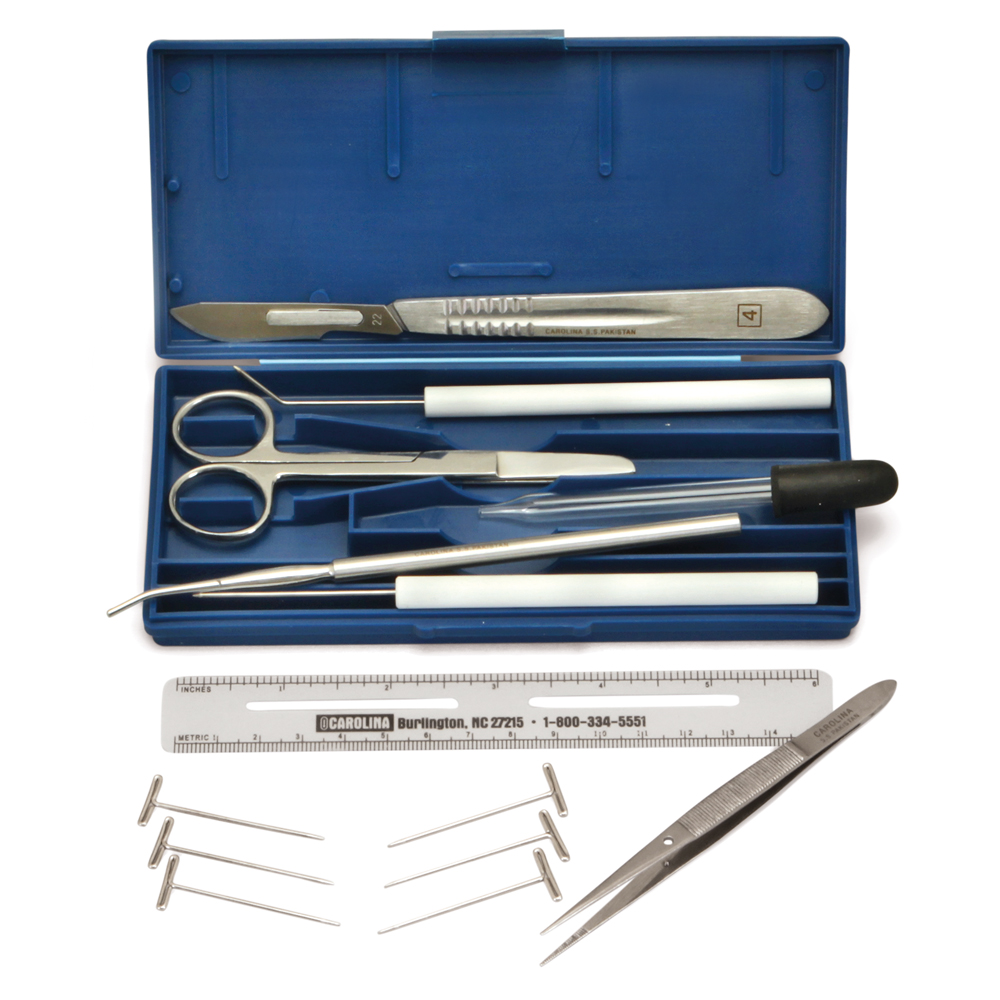 Intermediate Dissecting Set I, Molded Plastic Case | Carolina