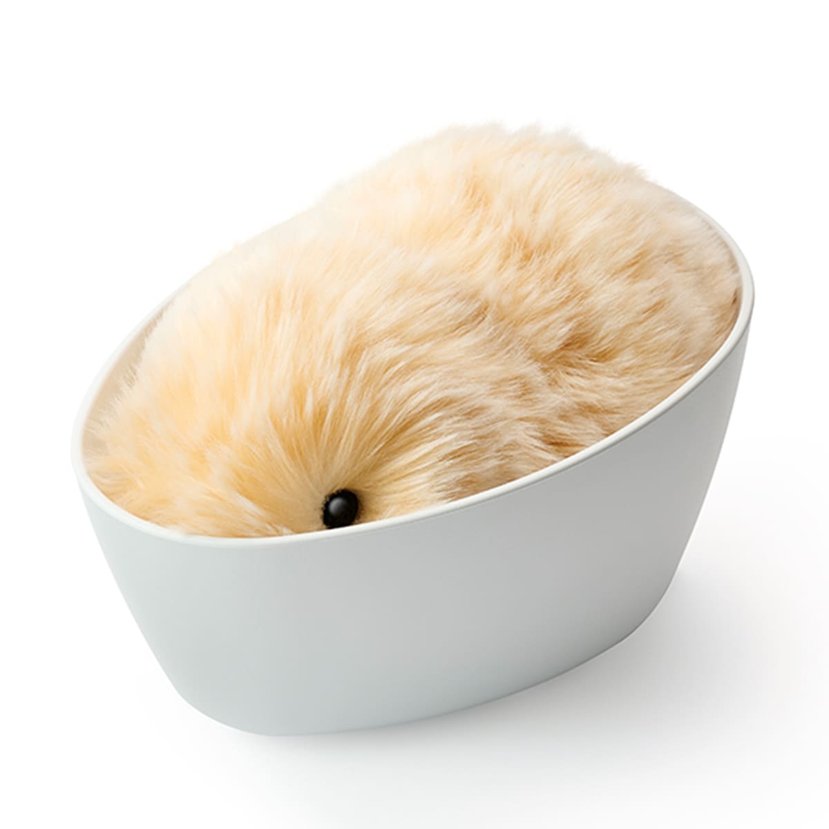 製品登録（Moflin） | CASIO