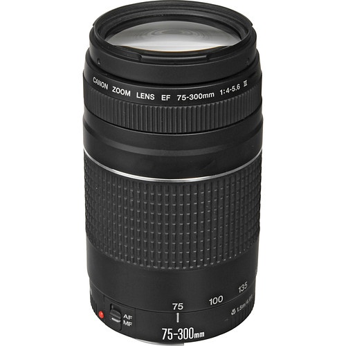 Canon EF 75-300mm f4.0-5.6 III Zoom Lens - Castle Cameras