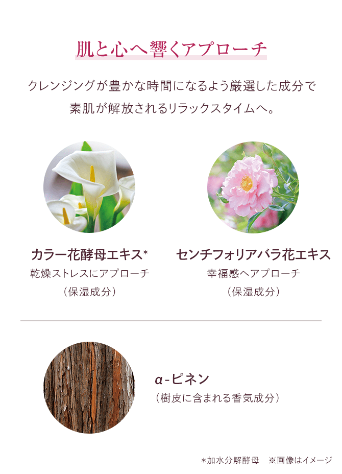 トリートメントマセa（ブレッシングローズブーケの香り）│【公式