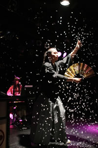 ニコニコ大会議2010-11全国ツアー 〜ありがとう100万人〜＞in 高崎が