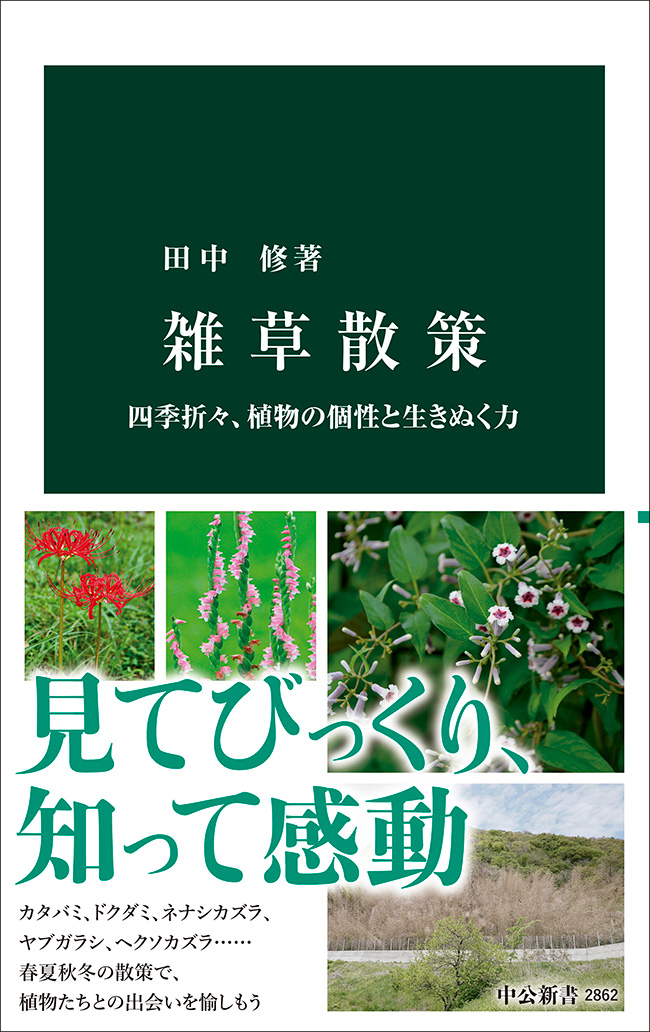 雑草散策 四季折々、植物の個性と生きぬく力 -田中修 著｜中公新書