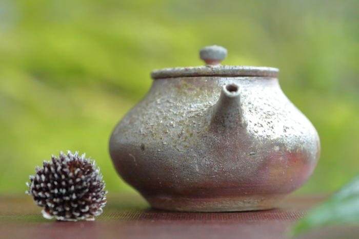 竹花正弘 南蛮茶銚 唐津焼急須 満容量120ml 登り窯焼成焼〆 上煎茶玉露