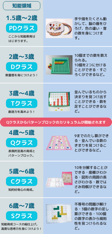 知能育成（知育）コース｜知能育成（知育）と受験対策の幼児教室