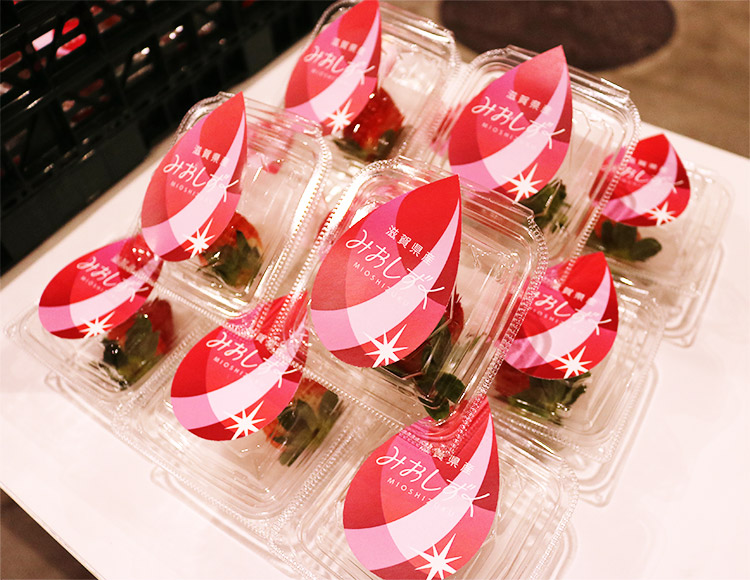 2025年12月19日JA全農しが みおしずく苺セールス ｜ 東京シティ青果