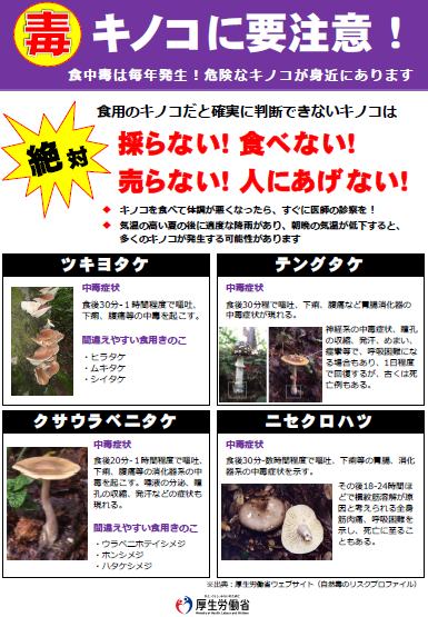 毒キノコにご注意を！ 「採らない」「食べない」「売らない」「人に