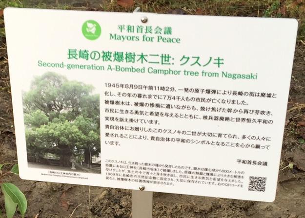 平成27年度被爆樹木の苗木の植樹／長久手市