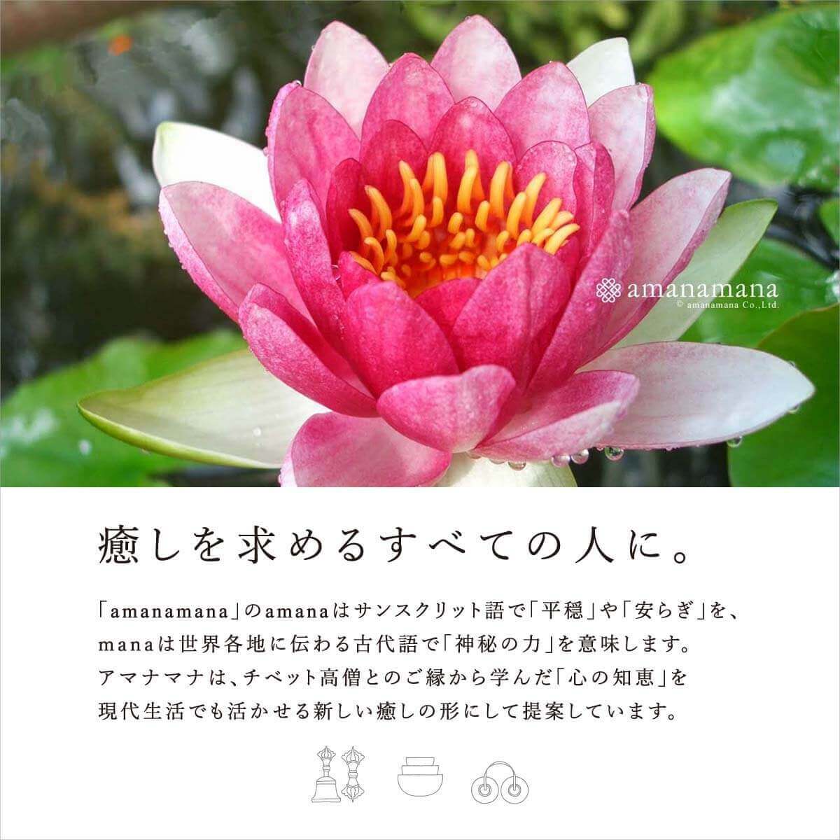 新・鍛造スペシャル・シンギングボウル 小 | amanamana