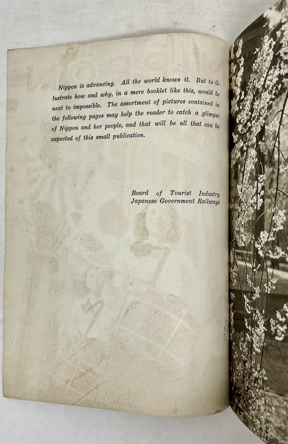 ニッポン』 - 青羽古書店 AOBANE Antiquarian Bookshop - 洋書・美術書