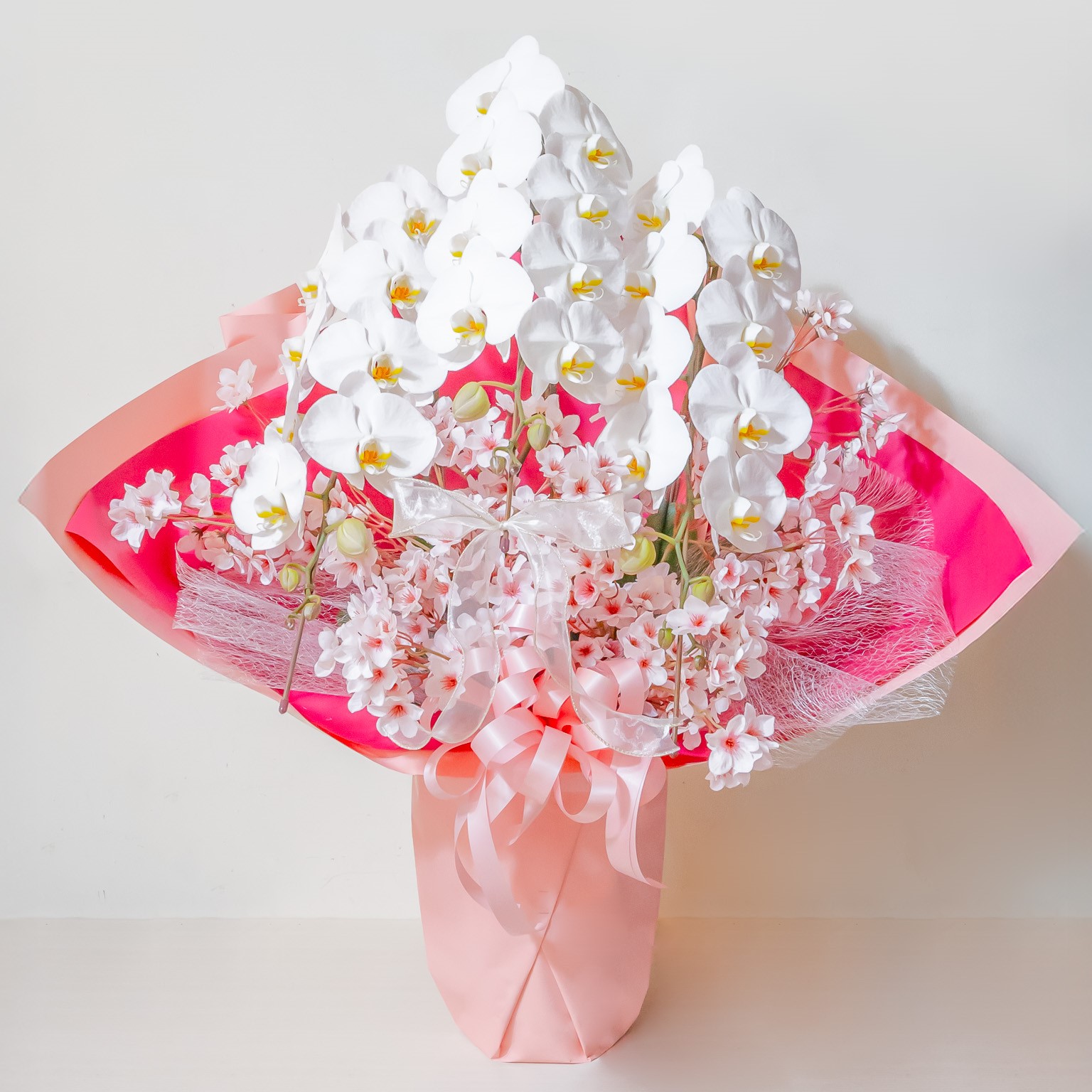 胡蝶蘭 カテゴリ商品一覧│中洲花屋 ABCフラワー｜福岡市博多区中央区