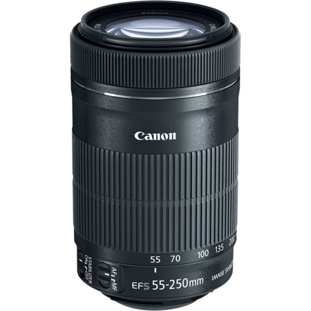 Canon EF-S 55-250mm f/4-5.6 IS STM Lens with Essential Accessories