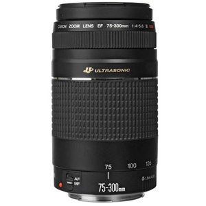 Canon EF 75-300mm F/4-5.6 III USM Lens, USA - Adorama