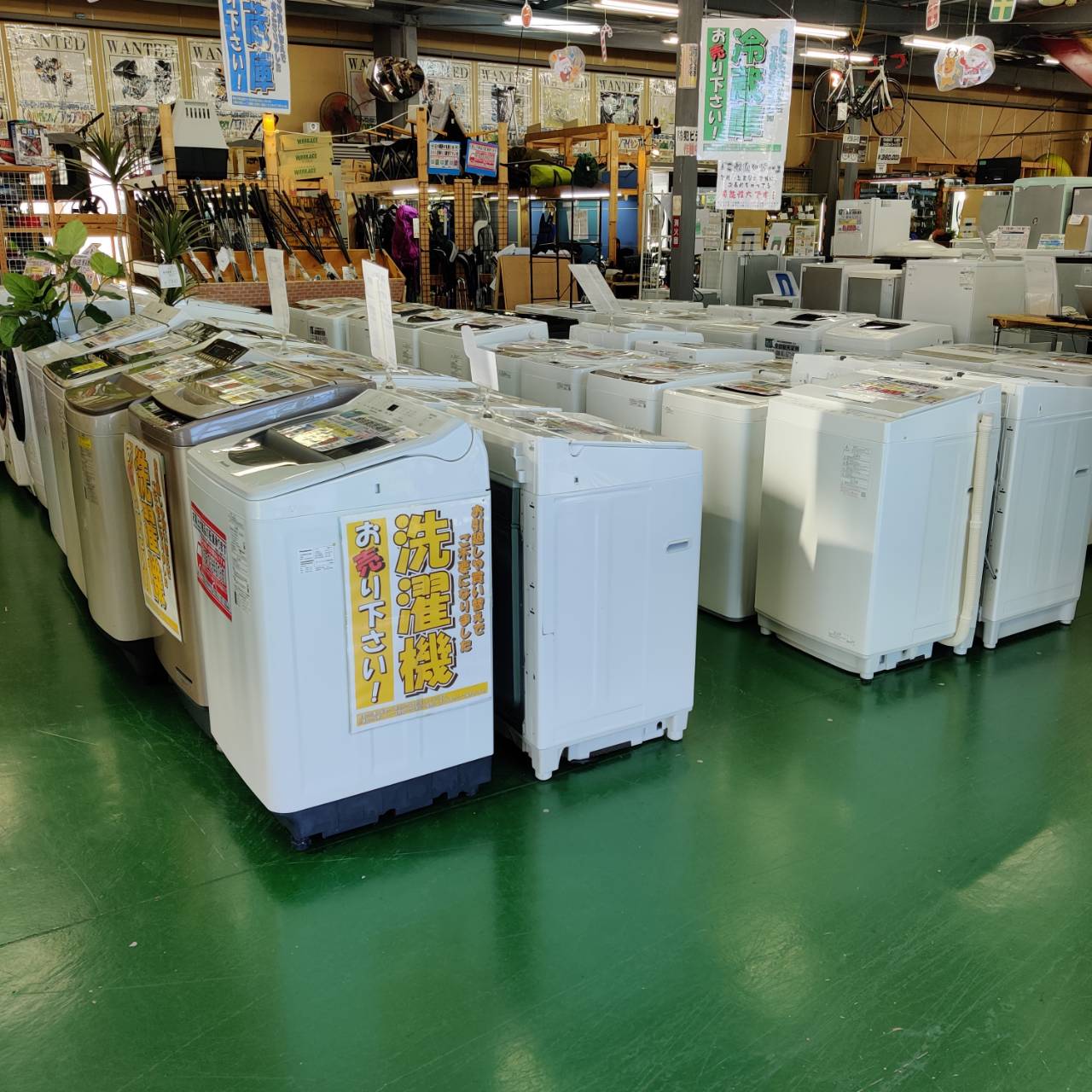 東芝 (TOSHIBA) 2022年製 8.0kg 全自動洗濯機 AW-8DH2 販売中！ 愛品
