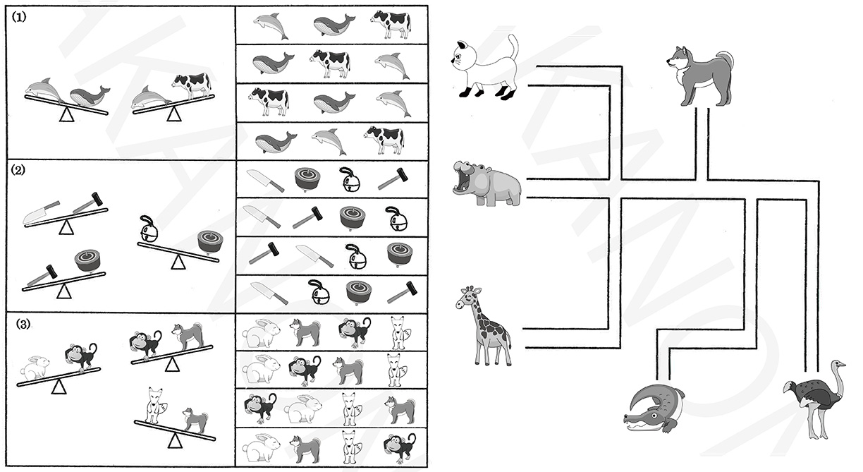 年長 ハイレベルペーパー対策αクラス | 名門私立幼稚園・小学校受験