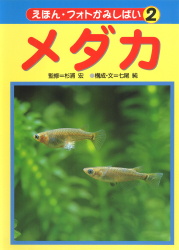 シリーズ「えほん・フォトかみしばい」：検索結果一覧 - あかね書房