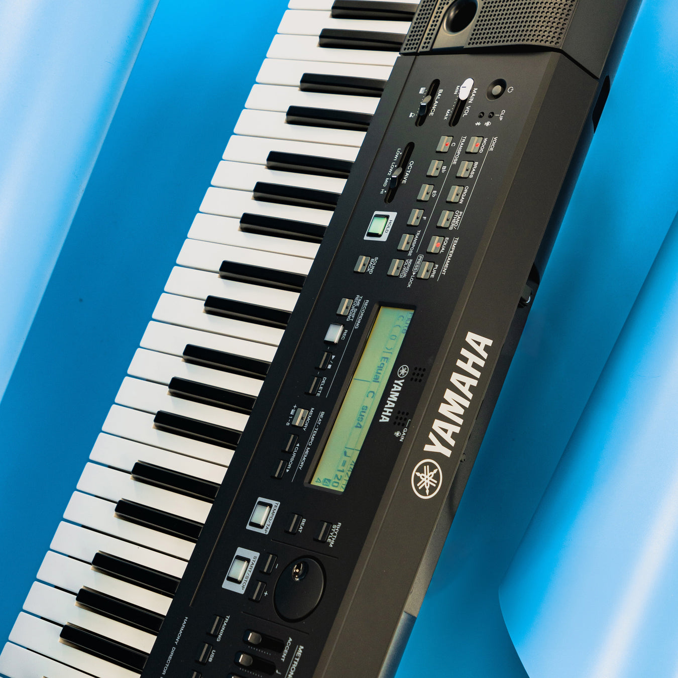 Keyboards — Page 2 — Alamo Music Center