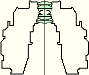 Zuiko Auto-Macro 20mm f/2 – Olympus OM Bellows Macro Lenses