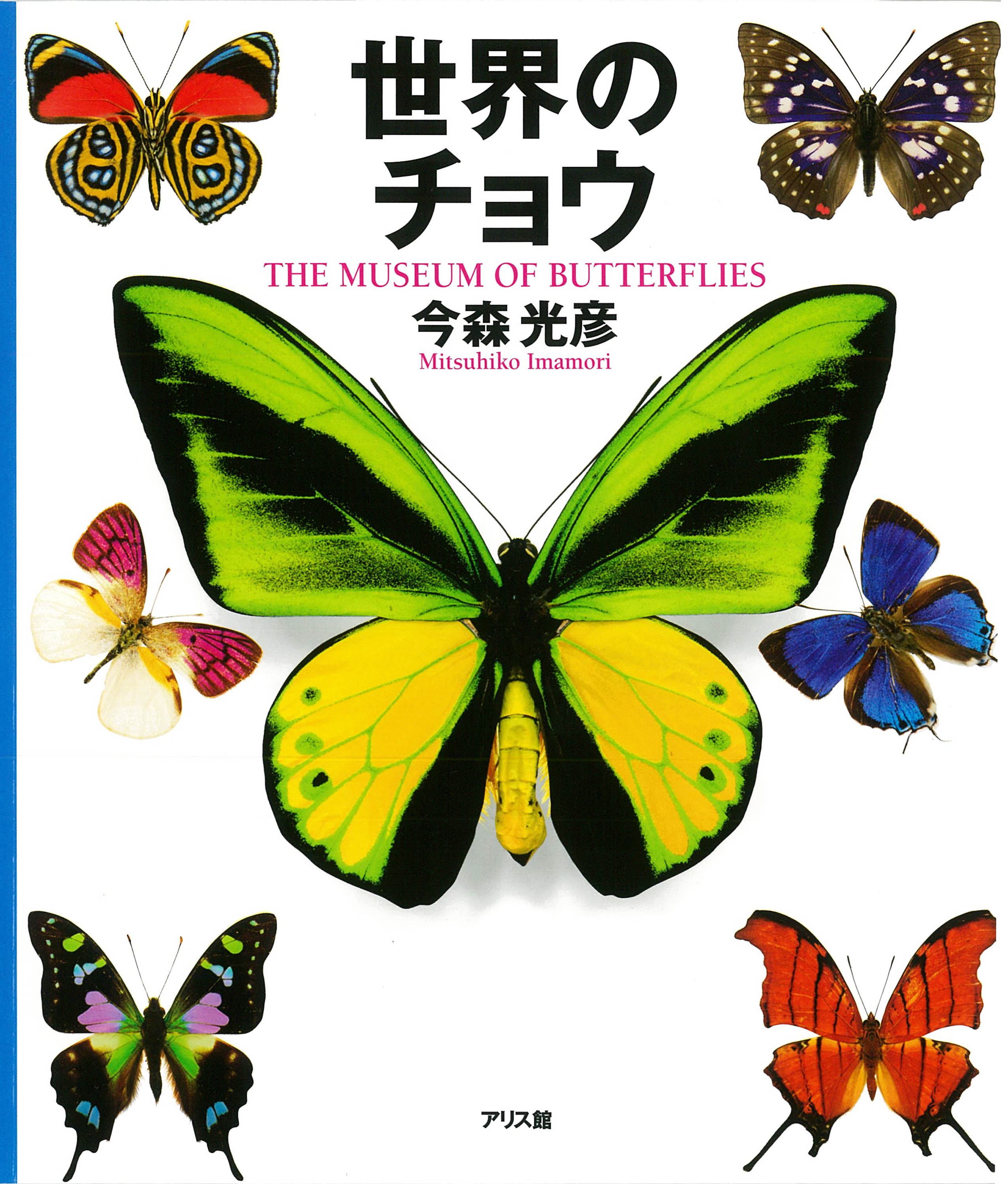 世界のチョウ ｜ アリス館