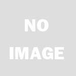 映画 月光の夏 (1993) - allcinema