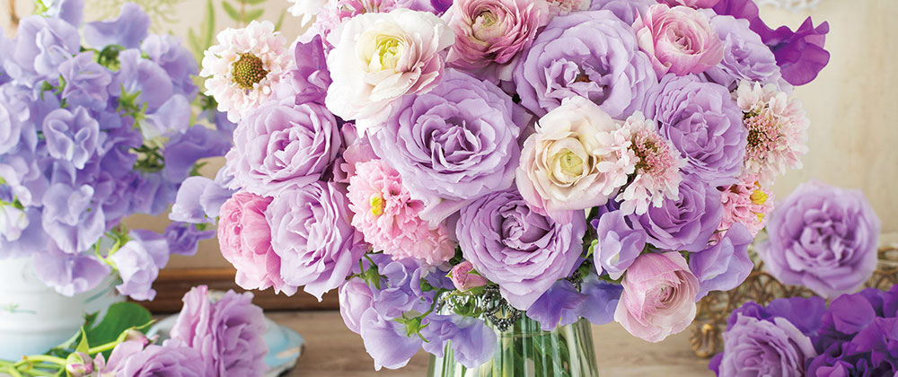 発売月別新製品一覧 | ジグソーパズル | 光るジグソーパズルのアップル