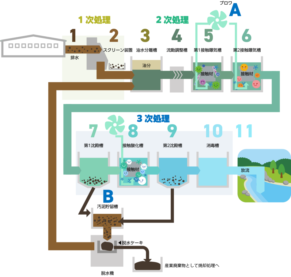 排水システムの仕組み｜有限会社アクアシステム