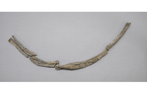企画展示「URUSHI ふしぎ物語-人と漆の 12000 年史-」 | 国立歴史民俗