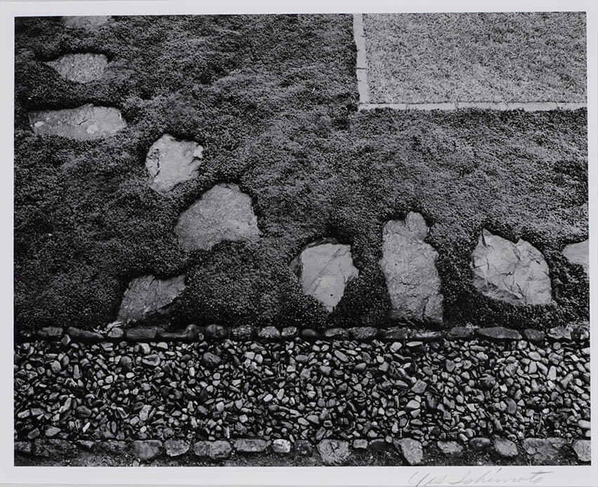 モダニストの日本美―石元泰博「桂」の系譜 | 三重県立美術館 | 美術館