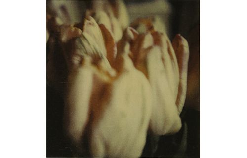 サイ・トゥオンブリーの写真－変奏のリリシズム－ | DIC川村記念美術館