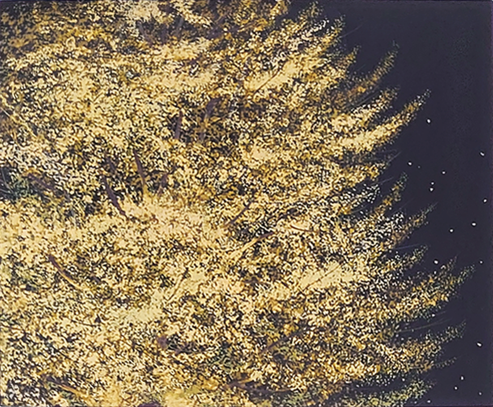 東山魁夷・平山郁夫・片岡球子等、日本画、版画の通販は、絵画販売専門