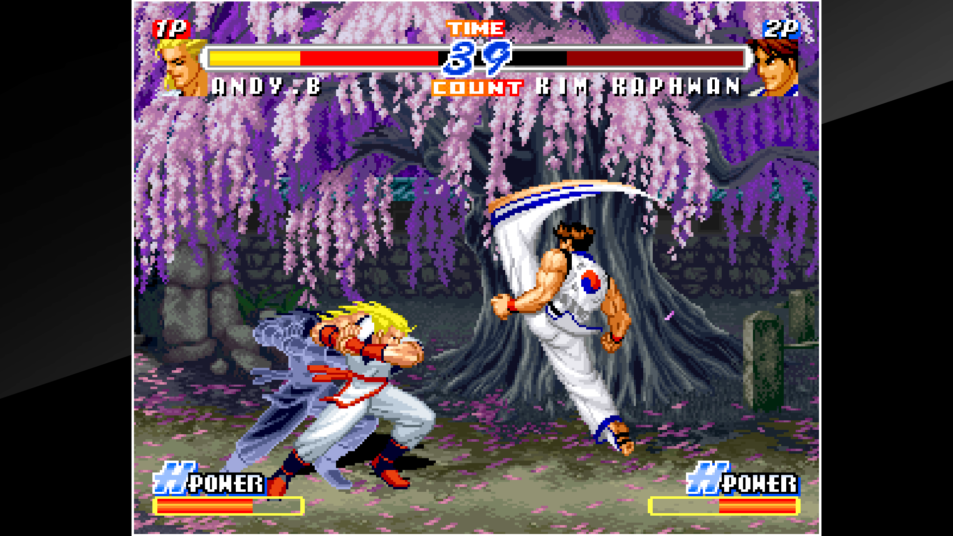 アケアカNEOGEO リアルバウト餓狼伝説2 ～THE NEWCOMERS
