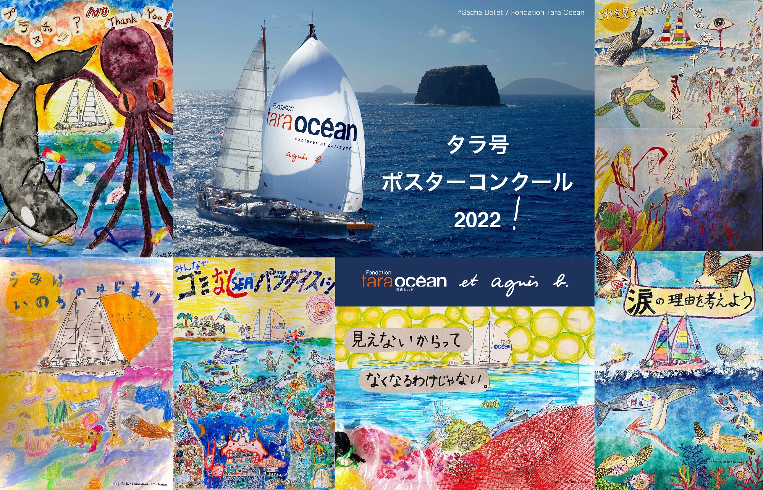 アニエスベー×TARA アートの力で海を守る重要性を発信しよう！ 「タラ