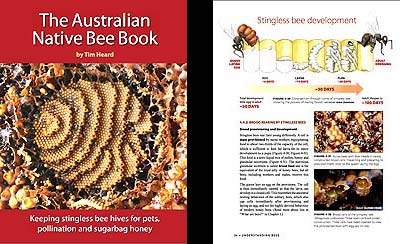 Other Good Books on Native Bees