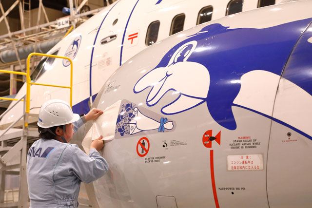 ANA、737-500に退役記念デカール スーパードルフィン3機に