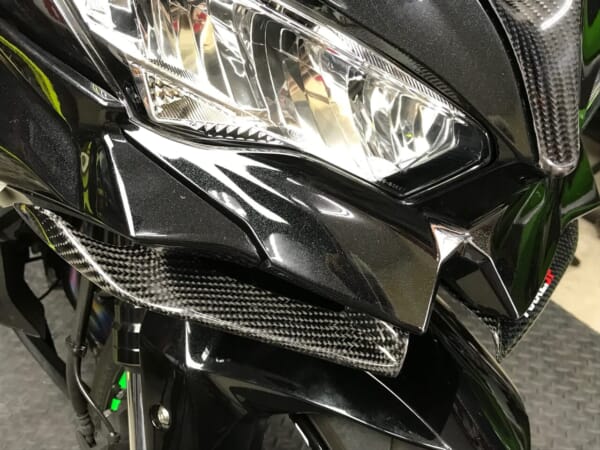 ZX25R フルカーボン ウィングレット ｜AxxL