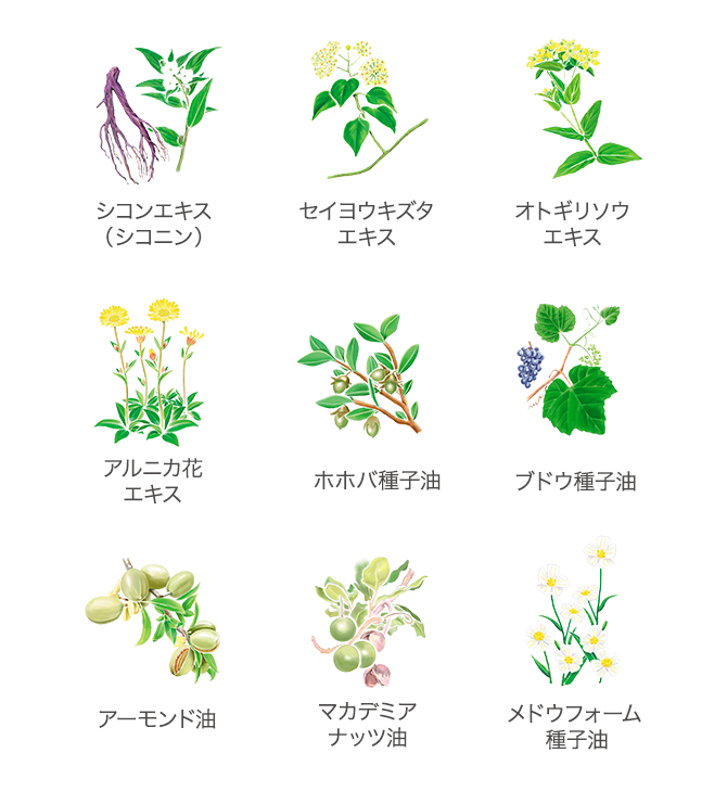 プランツC｜製品特集｜アザレ化粧品