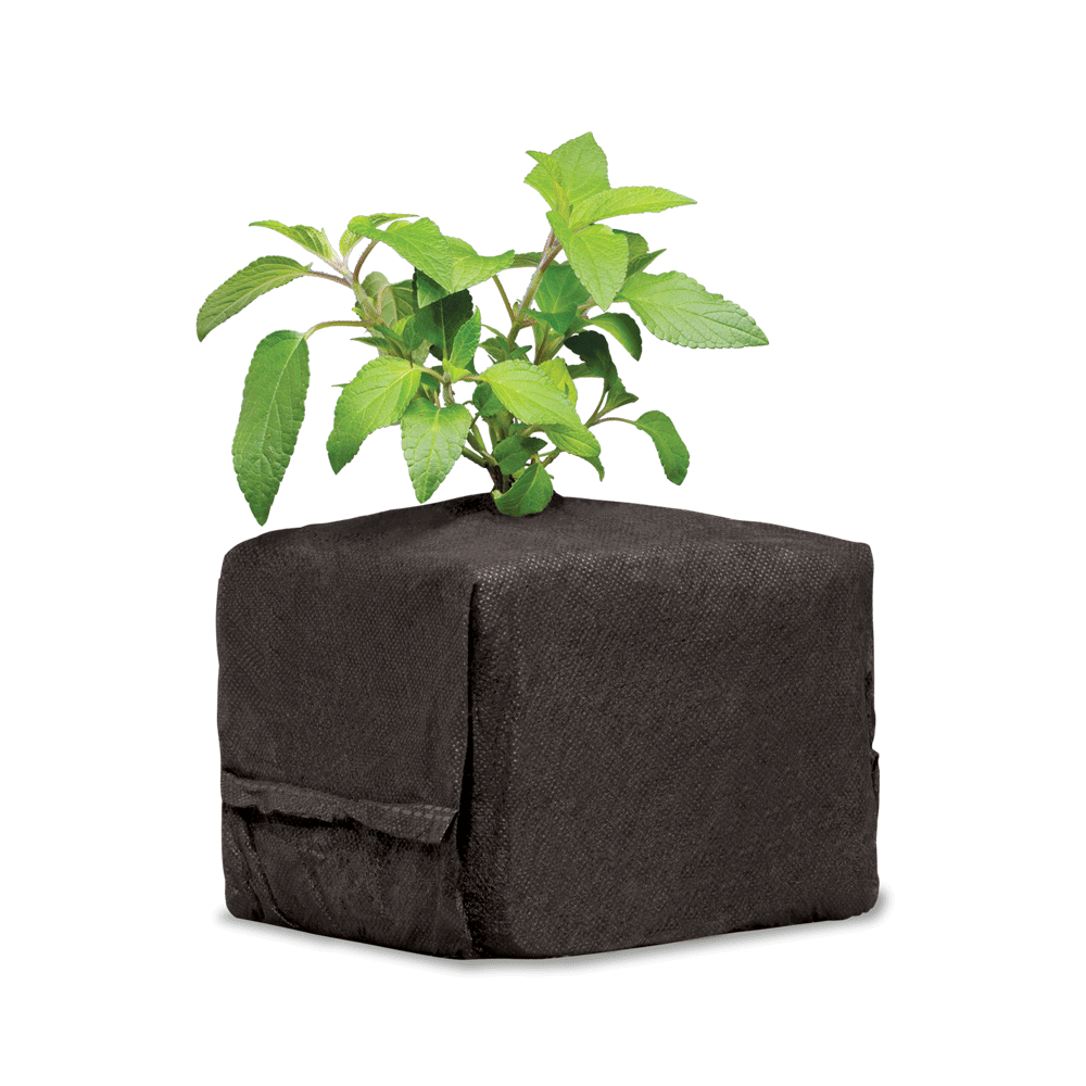 CocoPro Cube – Botanicare