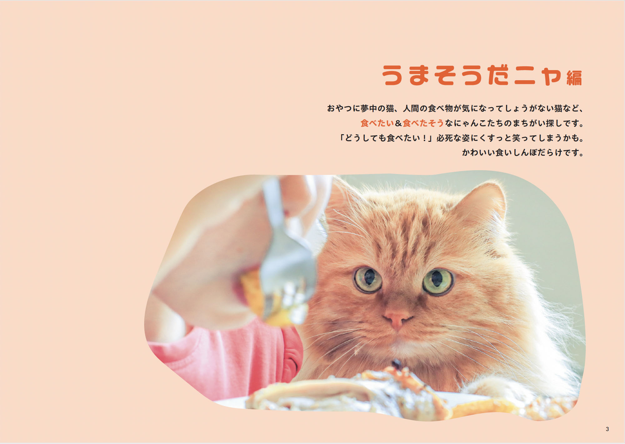 にゃんこのまちがい探し ネコねんね＆うまそうだニャ | 本の情報