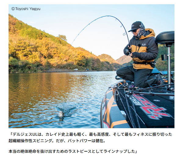 エバーグリーン カレイドセルペンティ