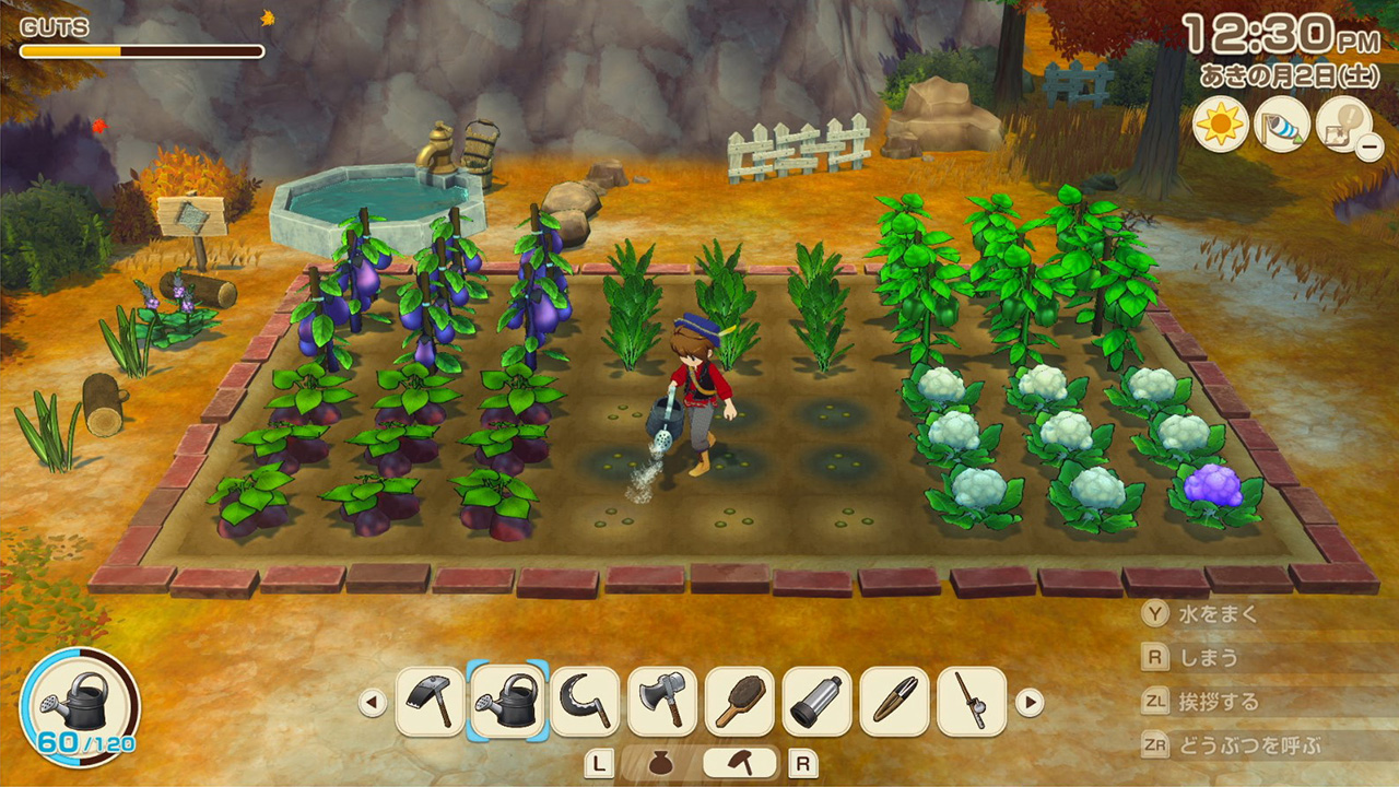 牧場物語 Let's！風のグランドバザール｜牧場物語シリーズ公式サイト