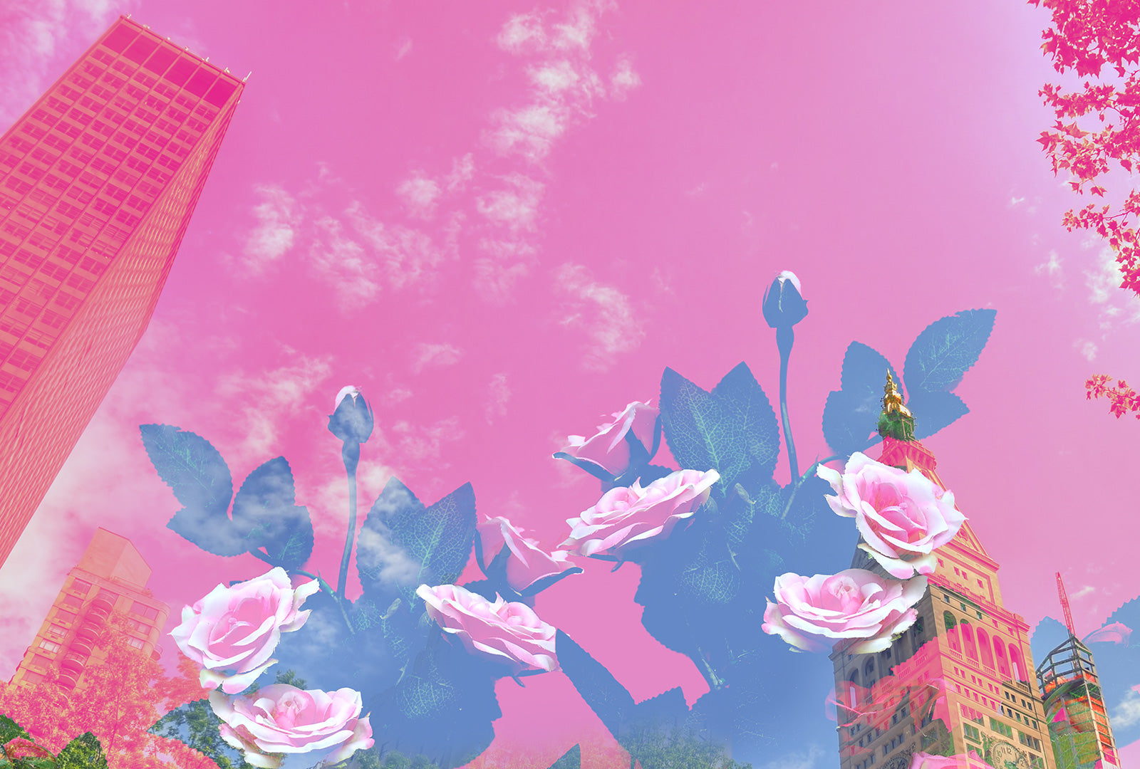 New York Spring Fling With Swarovski® Crystals | Bond No. 9 New York