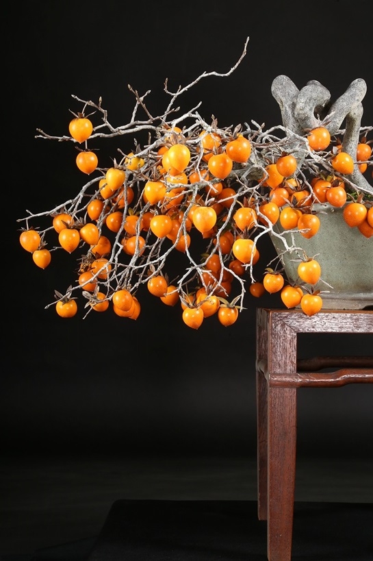 老爺柿 約50年 | 雨竹亭オンラインショップ