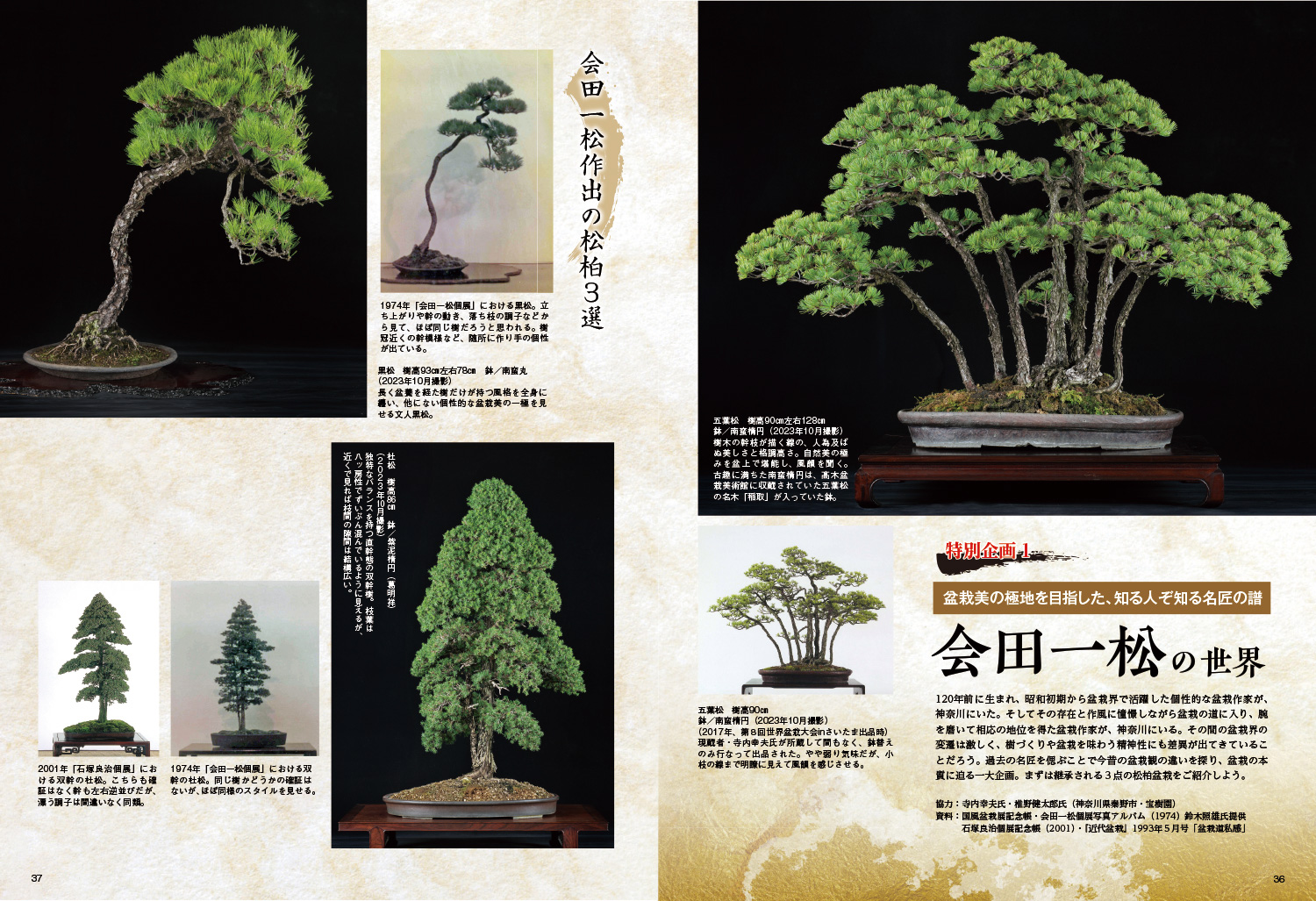 月刊「近代盆栽」2024年3月号 ※電子版のみ | 盆栽、盆栽書籍、盆栽鉢の